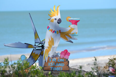 Gulf Coast Vacation Rentals at GulfCoastVacations.com