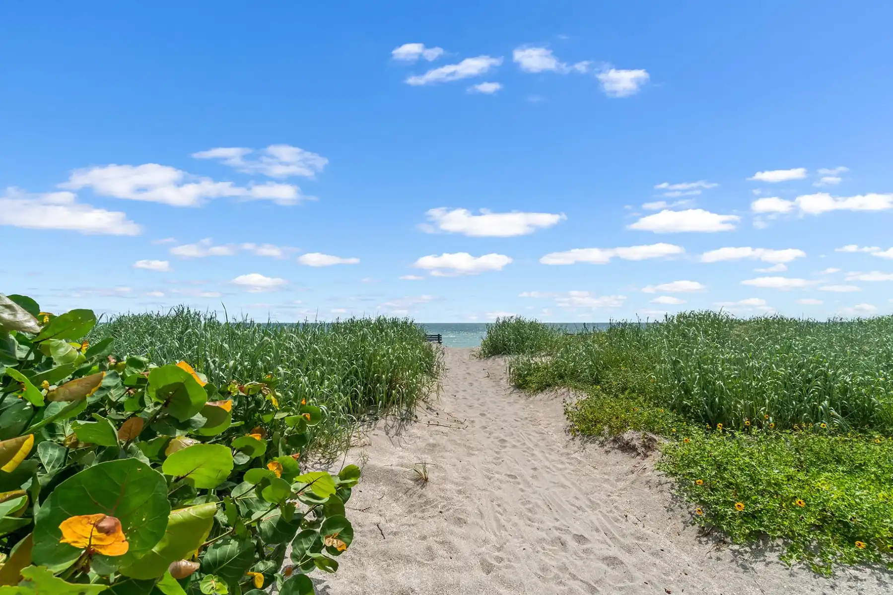 Tortuga – 2BR on Beach, Heated Pool & Sauna