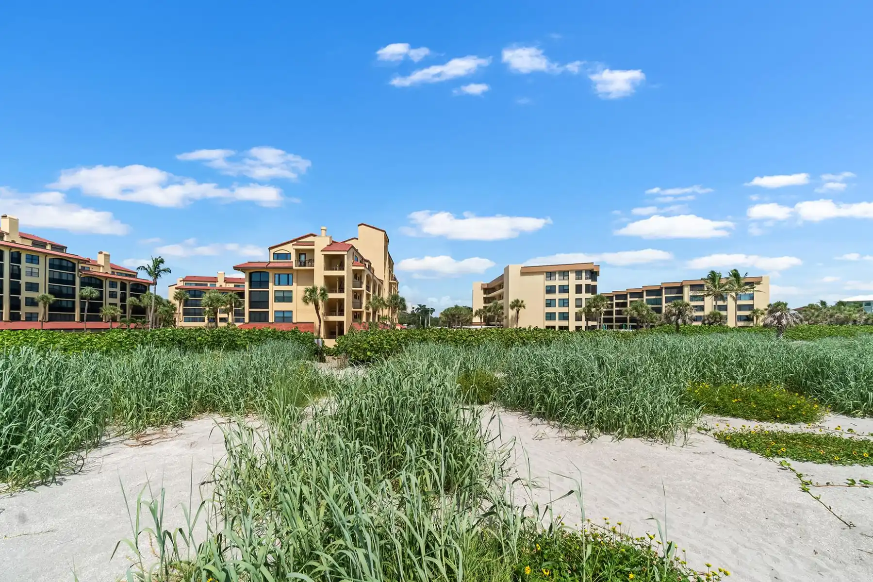 Tortuga – 2BR on Beach, Heated Pool & Sauna