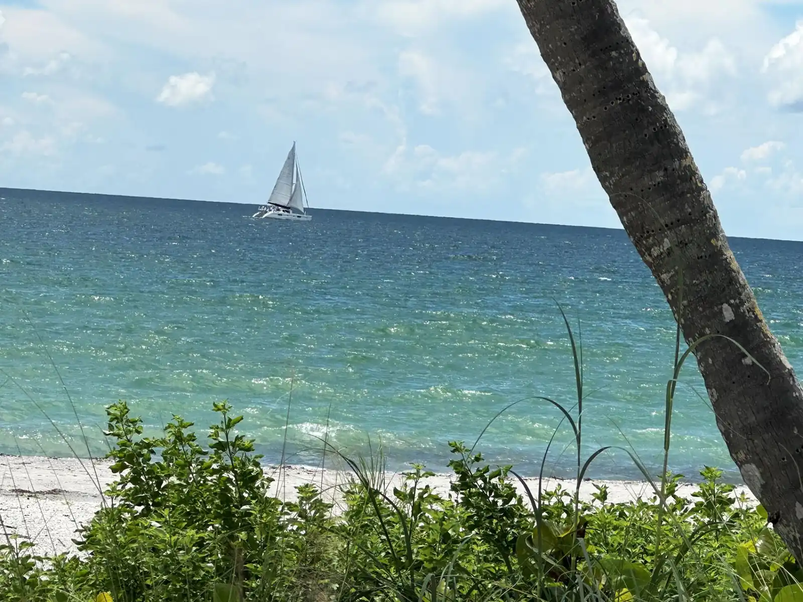 Manasota Key Elegance – 3BR Beach + Dock