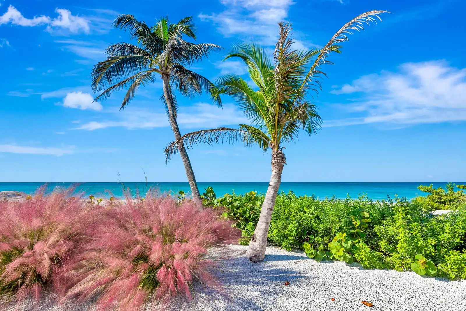 Manasota Key Elegance – 3BR Beach + Dock