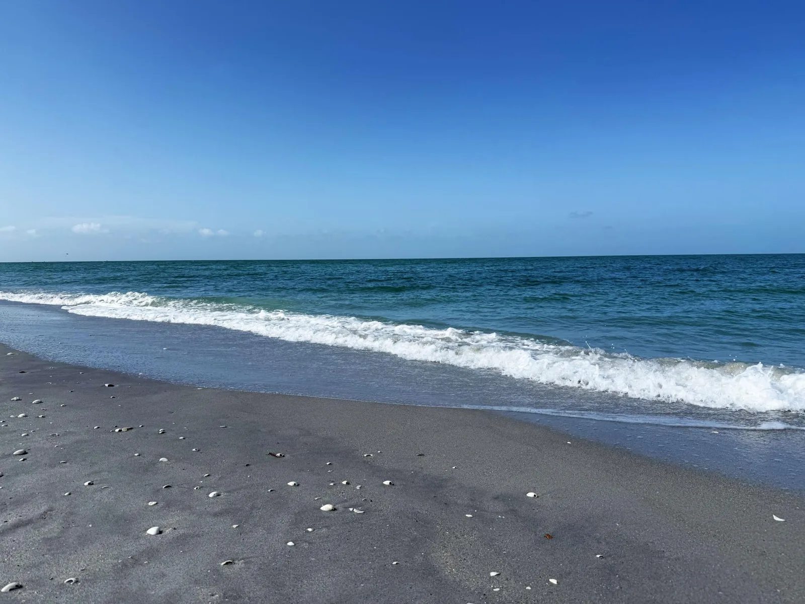 Pet-Friendly 3BR – Relax & Explore Beaches & Golf