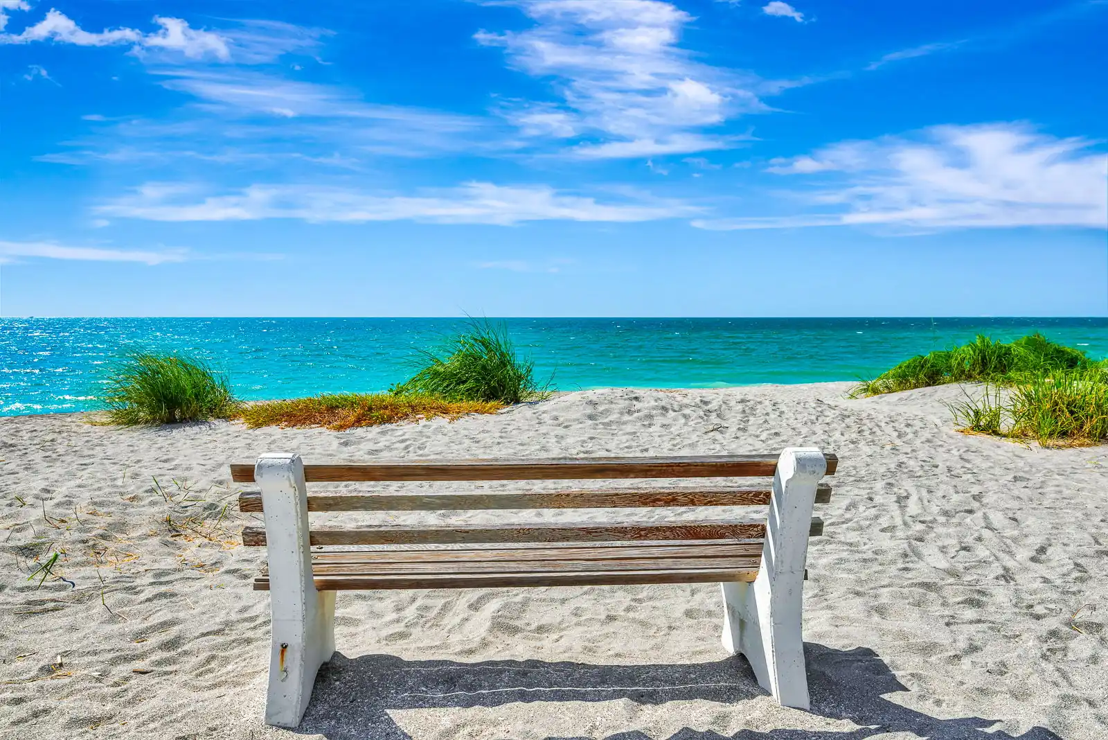 Island Reef – Gulf Views, Pool & Luxury Stay