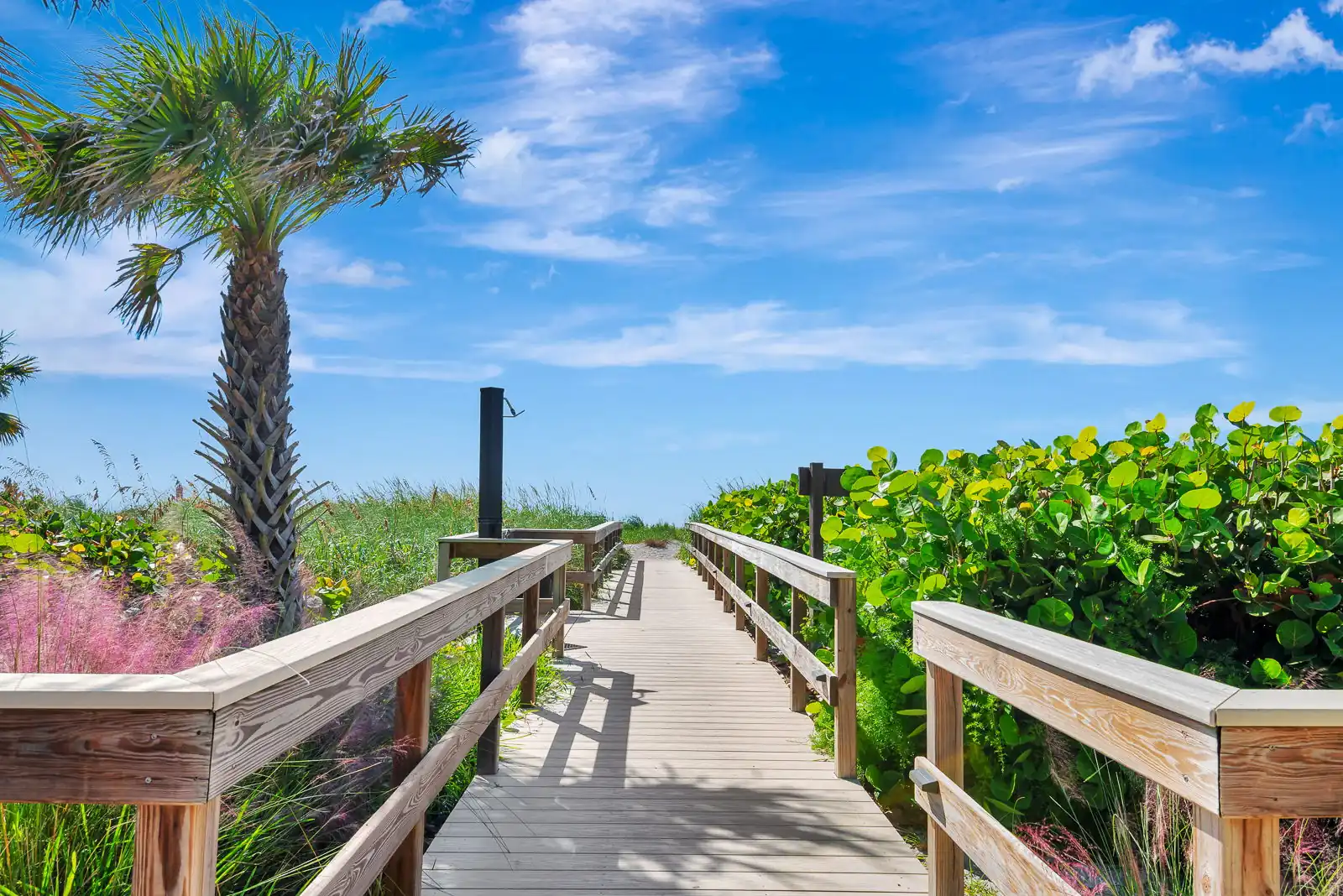 Island Reef – Gulf Views, Pool & Luxury Stay