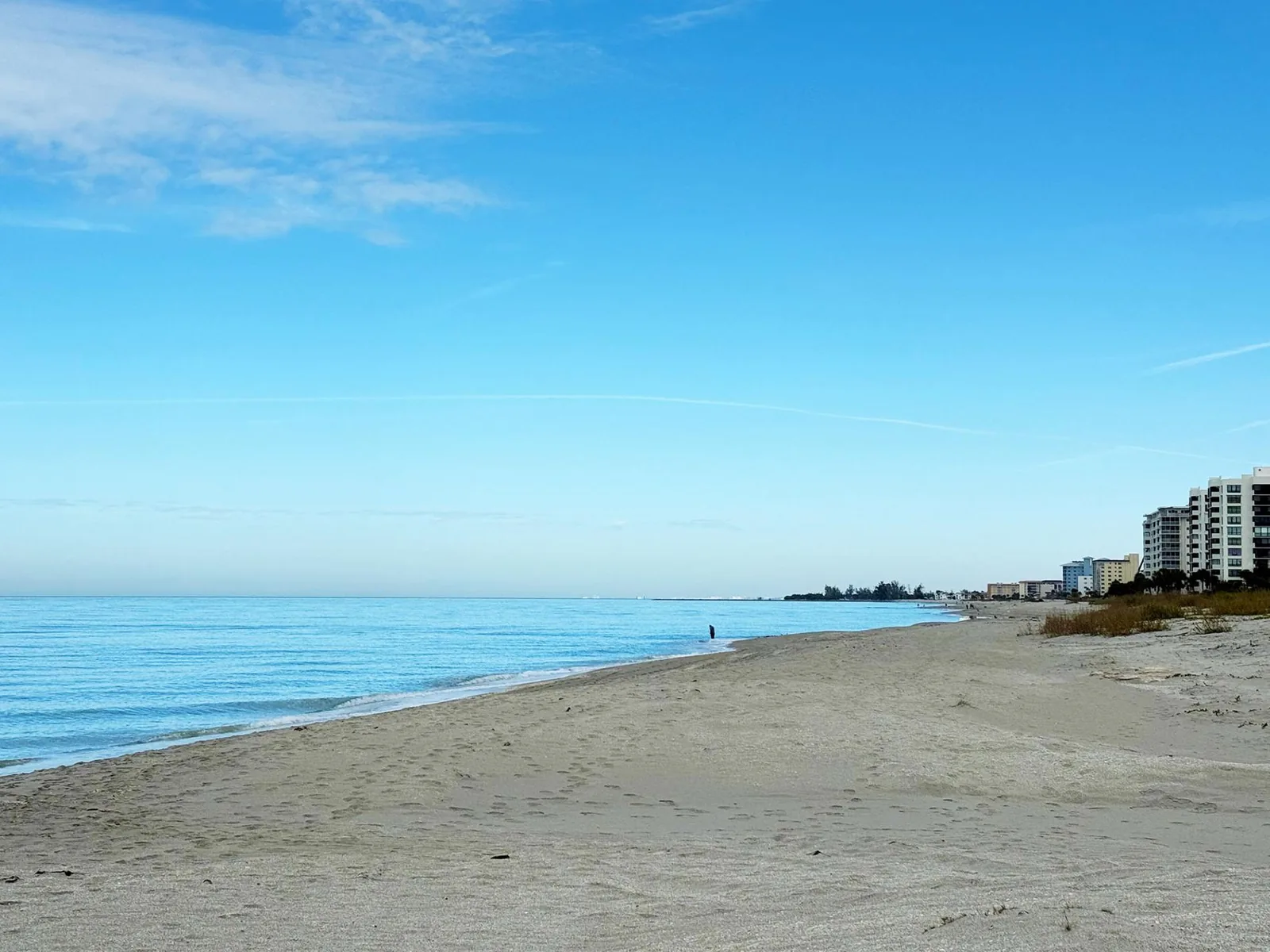Venice Villas 1BR – Pool & Grill on Golden Beach