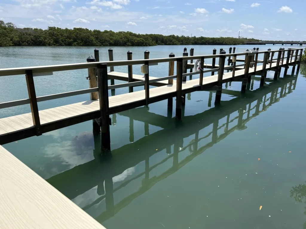 Manasota Key Gem - Pool and Hot Tub - Beach Views