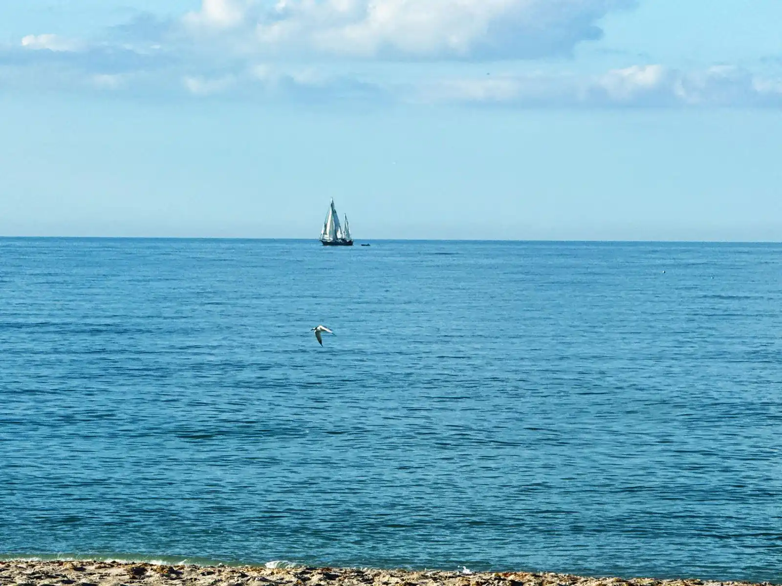 La Coquina Gulf-Front – Beach, Pool & Sunset Views