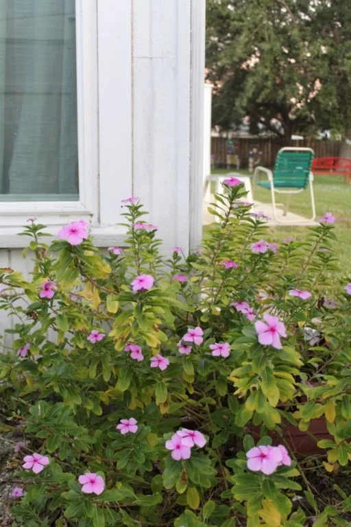 Sun, Sand & Savings - Bonita Cozy Cottage Escape